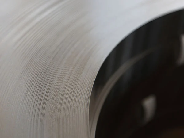 Super Thin Sus 310s High Temperature Alloy Foil